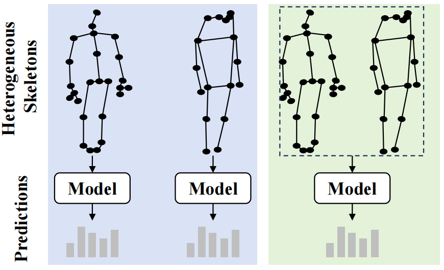 unified heterogeneous skeleton-based action recognition